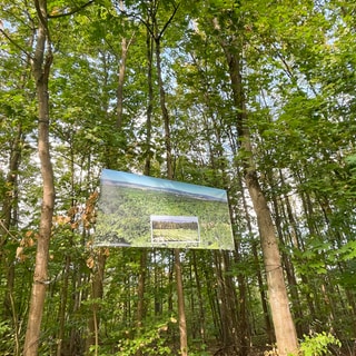 Wetter: Fotoausstellung im Wald