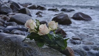 Rosen liegen im Wasser