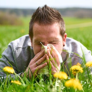 Ein junger Mann liegt in einer blühenden grünen Wiese im Gras und niest in ein Taschentuch. Der Lungenfacharzt Kai-Michael Beeh spricht in SWR1 Leute über Heuschnupfen, Allergien und andere Lungenkrankheiten wie COPD.