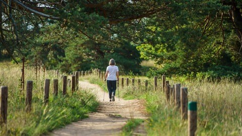 Eine Frau über einen Weg, der durch den Mainzer Sand zwischen den Stadtteilen Mombach und Gonsenheim führt. 