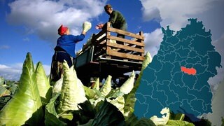 Symbolbild Wahlkreis 262 Nürtingen Bundestagswahl 2021 in Baden-Württemberg