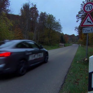 Wildwechsel