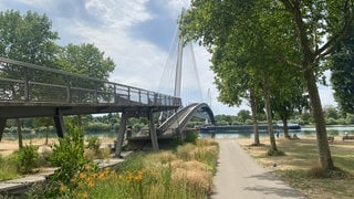 Die Passerelle des Deux Rives verbindet das Elsass und Baden.