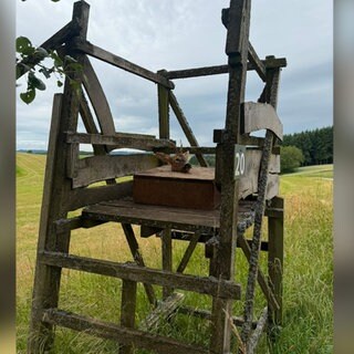 Wieder hat es einen Fall von Jagdwilderei im Wald in Irsch gegeben. Die Polizei ermittelt.