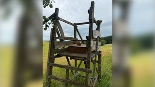Wieder hat es einen Fall von Jagdwilderei im Wald in Irsch gegeben. Die Polizei ermittelt.