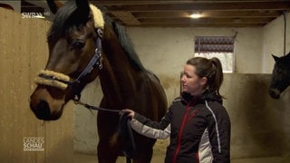 Eine Frau und ein Pferd