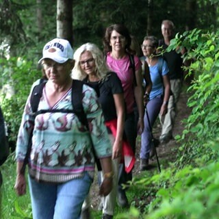 Wandergruppe läuft durch den Wald