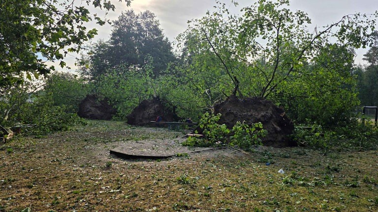 Eine Landschaft fast wie im Urwald. Der Sturm am 16. Juli hat einiges mit sich gerissen.