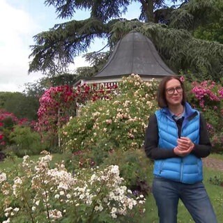 Wetterreporterin Ulrike Hellwig