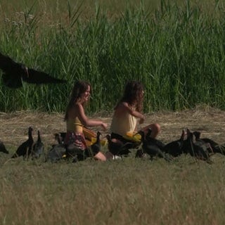 Zwei Frauen sitzen auf einem Feld mit vielen Waldrappen