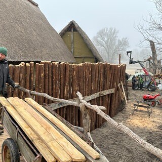 Tausende Pfähle müssen erneuert werden.