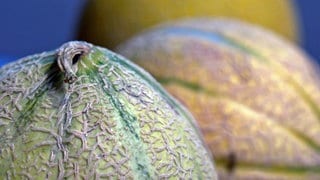 Melonen