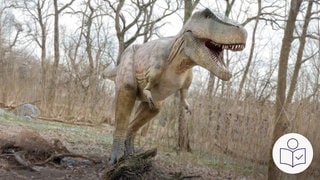 Ein Modell von dem Dinosaurier T-Rex. Der T-Rex ist in einem Wald. Er läuft auf den Hinterbeinen. Er hat zwei kleine Arme. Rechts das SWR Logo für Leichte Sprache.   