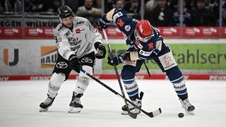 Wild Wings gegen Kölner Haie