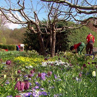 Bunte Blumen wachsen im Brenzpark in Heidenheim. Über das Bild verteilt sind mehrere Landschaftspfleger mit roten T-Shirts und Arbeitskleidung zu sehen.