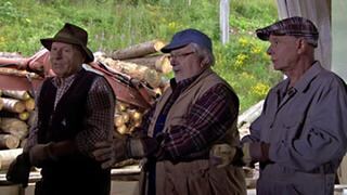 Franz, Hermann und Heinz im Sägewerk