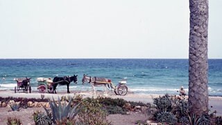 Eselkarren am Strand von Cala Millor  Mallorca (1962)