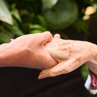 Symbolbild: Nahaufnahme einer jüngeren Hand, die eine ältere Hand hält