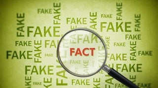 Lupe findet das Wort "Fact" in einer Anhäufung des Wortes "Fake": Desinformation begegnet uns fast täglich, oft steckt eine politische Agenda dahinter. Faktencheck-Redaktionen verbreiten Richtigstellungen und auch wir können Fake News entlarven. Wie?