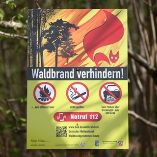 Ein Hinweisschild gibt Tipps, wie Waldbrände verhindert werden können. Unter anderem soll kein offenes Feuer gemacht werden, nicht geraucht werden und nicht über trockenem Laub geparkt werden. 