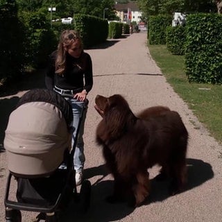 Frauchen Sarah mit Kinderwagen und Hund Bow
