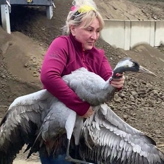 Für Tiere tut Geschäftsfrau Patricia Cerutti alles