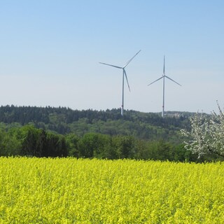 Windpark