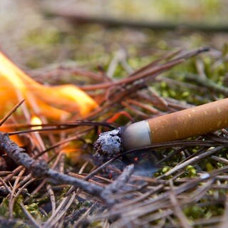 So verringert ihr die Waldbrandgefahr bei Trockenheit