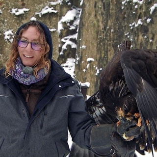 Falknerin Denise Stöcklein mit einem fressenden Adler auf ihrer Hand
