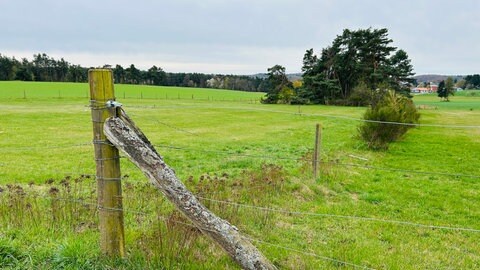 Wiesen bei Trippstadt im Kreis Kaiserslautern
