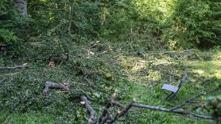 Einsatzkräfte stehen im Wald, wo ein 76-Jähriger von einem herabstürzenden Ast erschlagen wurde.
