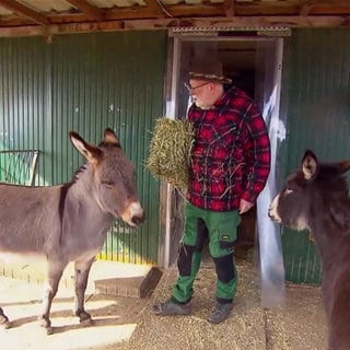 Rolf Müller und zwei Esel
