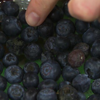 Heidelbeeren