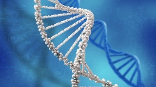 DNA