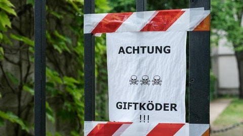 Ein Schild warnt vor möglichen Giftködern (Symbolfoto): In Blaubeuren-Seißen sind Giftköder offenbar Schuld am Tod eines Hundes - und auch Rotmilane könnten an dem Gift verendet sein. Die Polizei sucht nun Zeugen.