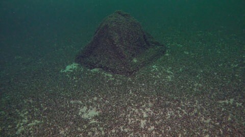 Eine 800 Kilogramm schwere Kugel voller Gin wurde vom Schiffsbergeverein aus Romanshorn im Bodensee wieder gefunden.
