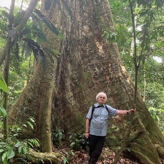 Peter Jaeggi vor Meranti-Baum