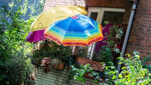 Drei Sonnenschirme schützen Pflanzen auf einem Balkon vor Sonne und Hitze.