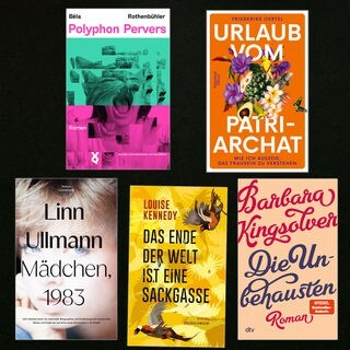 lesenswert Bücher vom 15.6.2025