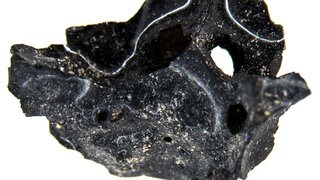 Als der Vesuv vor knapp 2000 Jahren ausbrach haben die hohen Temperaturen verglaste Strukturen im Gehirn eines Todesopfers ausgebildet. Der Schädel wurde in der Stadt Herculaneum gefunden.