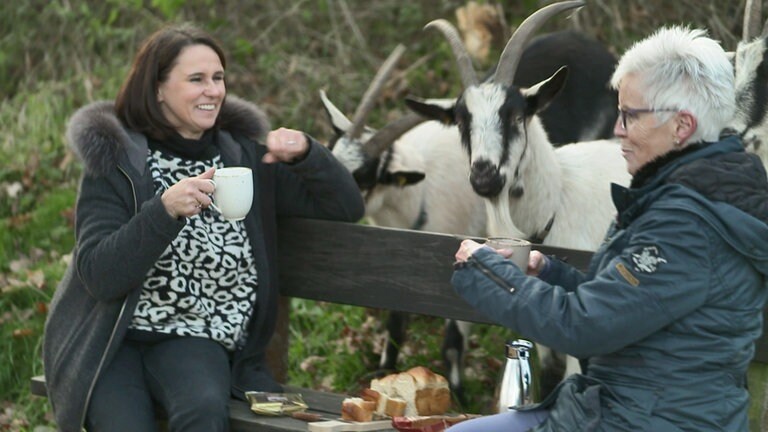 Hierzuland Bladernheim Picknick bei Ziegenwanderung