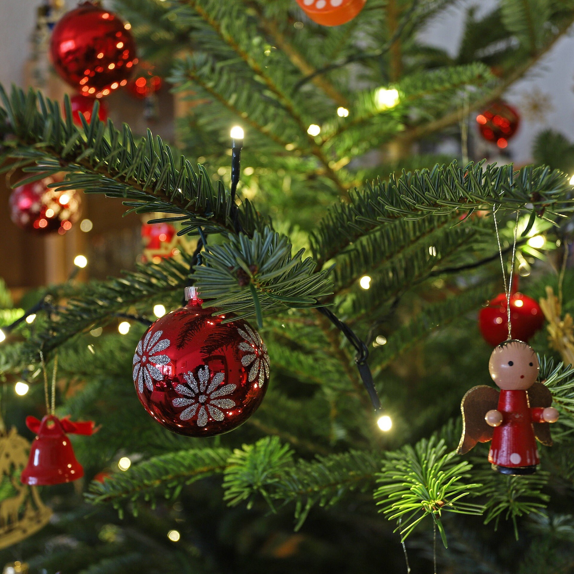 Seit wann gibt es den Weihnachtsbaum? episode artwork