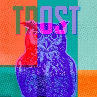 Cover des Hörbuchs "Trost" von Angelika Klüssendorf