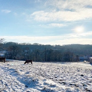 Diese Landschaft im Westerwald wird gesucht.