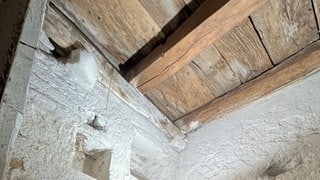 Mitarbeiter untersucht Holzdecke in Konstanz