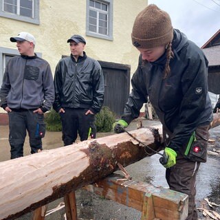 Ein Baum wird geschält. 
