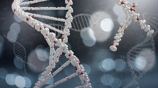 DNA-Moleküle bestehen aus zwei Ketten, die umeinander gewunden sind und eine Doppelhelix bilden