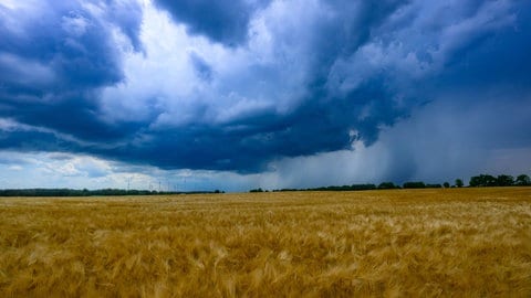 Dunkle, bedrohliche Gewitterwolken ziehen an einem Sommertag über ein weites Getreidefeld. In RLP drohen nach der Rekordhitze Unwetter.