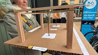 Ein Projekt in Kaiserslautern soll für mehr Schatten sorgen.