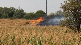 Bei einem Flächenbrand kommt es zu einer starken Rauchentwicklung (Symbolbild). Die Zahl der Waldbrände im Land ist stark gestiegen.